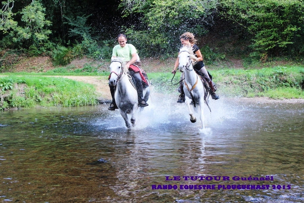 Rando_equestre_plougenast_20_septembre_2015_(299).jpg